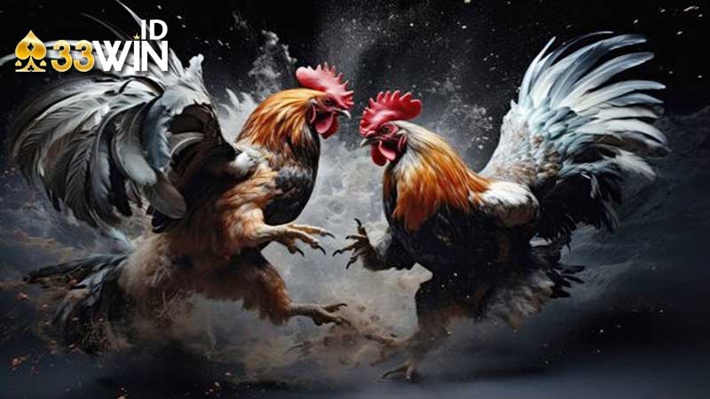 Đá gà Campuchia – Giới thiệu và các bí quyết giúp bạn giành chiến thắng 3 nắm bắt rõ quy định Đá Gà Campuchia