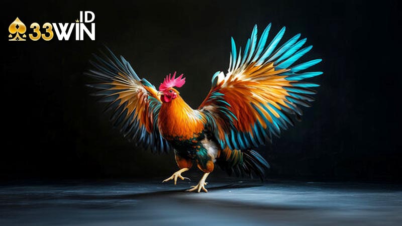 Giới thiệu đá gà cựa sắt